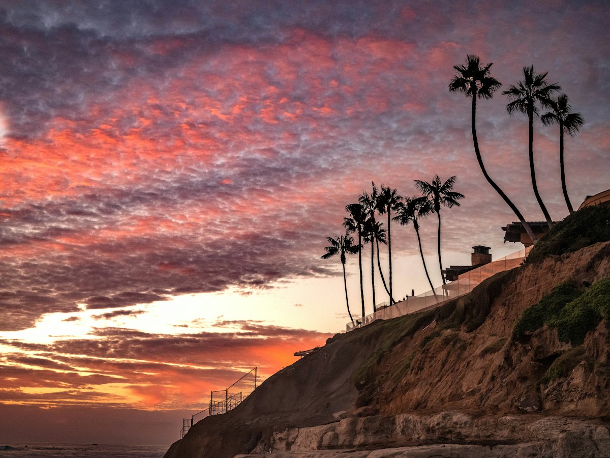 Sunset over the beach and palm trees in Carlsbad, California